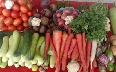 Vegetables Day Celebration 2025-26